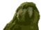popugay.gif