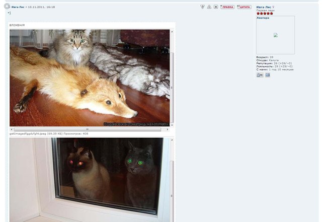 uploadedfoto.jpg