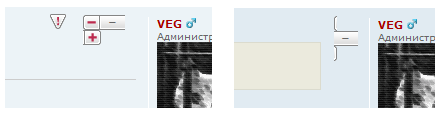 bag.png