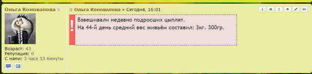 forum7.jpg